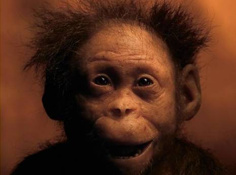 human_ancestor