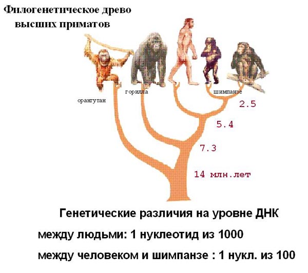 fig01